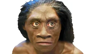 Поиск родственников человека флоресского, денисовцы, неандертальцы и пигмеи острова Флорес