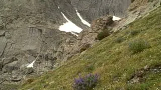 Running up a hill on Jackass Pass to Cirque of the Towers