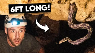 Deep Inside Mexico’s LOST CAVE of HANGING SNAKES