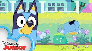 Bluey Season 3 Episode 39 "Exercise" Episode Clip | @disneyjunior x @BlueyOfficialChannel