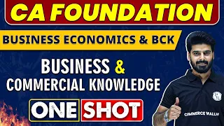 Business And Commercial Knowledge in One Shot | CA Foundation | Economics & BCK 🔥
