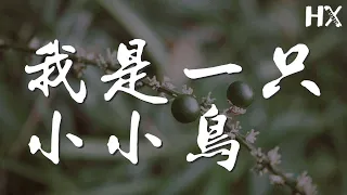 趙傳 - 我是一隻小小鳥『這樣的要求算不算太高』【動態歌詞Lyrics】