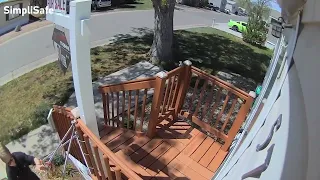 OLD LADY CAUGHT STEALING PLANTS FROM PORCH