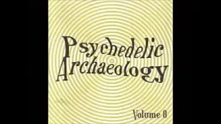 Various ‎– U-Spaces: Psychedelic Archaeology Vol 8 : 60s USA Garage Rock Beat Psych Music Bands LP