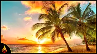 Island Reggae Music | Upbeat Tropics | Tropical Island Beach Music