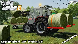 Moving hay bales & plowing fields | Campaign Of France | Farming Simulator 2019 | Episode 5