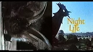 Night Life - David Attenborough - 1980s documentary