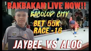 jaybee sucal vs alog bacolod 55k