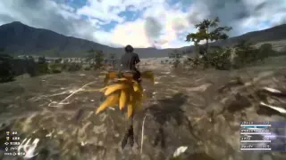 Final Fantasy XV - Chocobo Riding and Fishing (Gameplay)