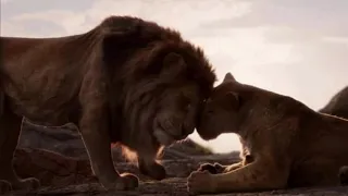 Lion King 2019 - Circle of life (Lithuanian) Subs & Trans