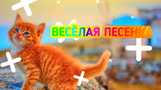 🎵 ВЕСЁЛАЯ ПЕСЕНКА 🎧Я НЕ МЕЛКИЙ И НЕ ДРЫЩ И ПОДПИСЧИКОВ 100 000🎧