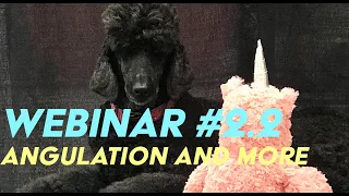 Webinar #2.2: Increasing angulation, Removing Fuzz, Fixing Eye Stains, and More!