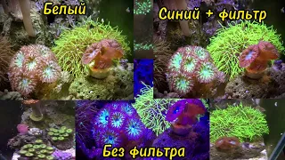 Морской аквариум при дневном свете