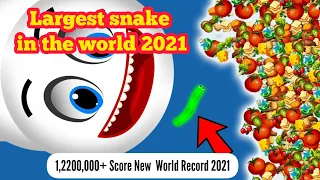 WormsZone.io Biggest Slither Snake 1,2200,000+ Score World Record Top 01 Epic Worms Zoneio Gameplay