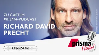 Richard David Precht: seine Arbeit, seine Meinung und wie er sich selbst sieht