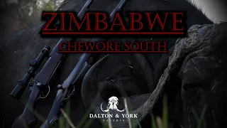 4 kills - Ultimate Cape Buffalo Hunting Chewore South Zimbabwe