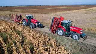 Massey Ferguson 8730 + 7614 | Quivogne Gladiátor aprító henger + Helti Triton tárcsa | EAgro Kft.