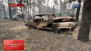 Дым от лесных пожаров в Австралии достиг Южной Америки