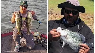 Lake Berryessa Brush Hoggin Bass/Crappie jigging