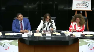 Comparecencia de la secretaria de Energía, Rocío Nahle García, ante la Comisión de Energía