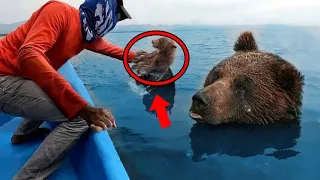 Man Finds A Drowning Bear, And When He Sees What On Bear's Hand, He Burst Into Tears...