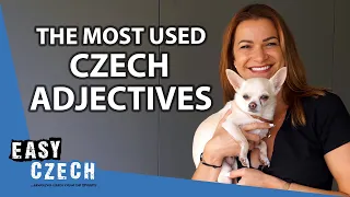50 Czech Adjectives You Must Know | Super Easy Czech 36