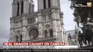 Real Dragon caught on camera!