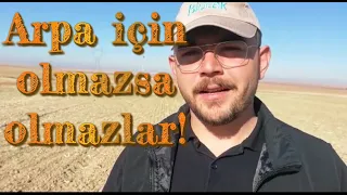 ARPA EKMEDEN KESİNLİKLE İZLEMELİSİN! |4 etapta arpa ekimi.