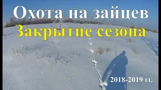 Охота на зайцев - Закрытие сезона 2018-2019 гг.