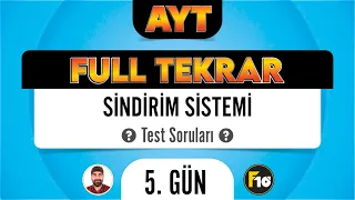 Sindirim Sistemi Test Soruları AYT Full Tekrar Biyoloji F10 Serisi