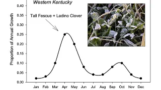 Extending Summer Grazing: Annuals and Annual Mixtures