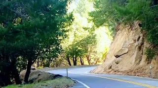 Paseando por las Montañas de San Bernardino Ca.