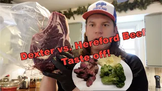 Dexter vs. Hereford Steak! Sweet Briar Farm Kitchen