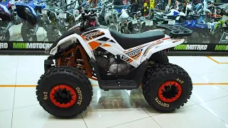 Квадроцикл ATV Motoland 125 COYOTE