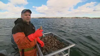 La semaine verte | Aquaculture du futur