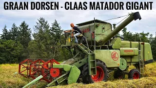 Graan dorsen/ Claas Matador Gigant/ Harvesting Grain