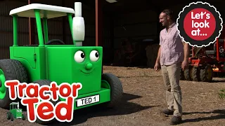 Let's Look at Tractors 🚜 | NEW Tractor Ted | Tractor Ted Official Channel