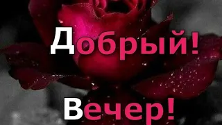 Хорошего вечера и приятного общения💕💙