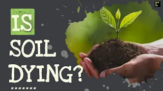 Is Soil Dying ? |  what is the cause of soil dying ? | why is soil dying ? | Vault Of Vox