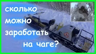 ЗА ЧАГОЙ НА МОТОБУКСИРОВЩИКЕ // Деньги на деревьях