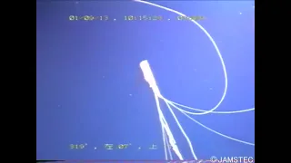 Bigfin Squid video 2001 - Magnapinna Squid JAMSTEC