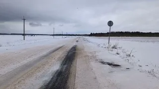 птичек.жалко