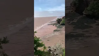 Intense wind and low tide at Hopewell Rocks Park #nature #canadianprovince