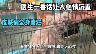 Desperate and sick dog! The cruel master didn't care, but the boy tried his best to save