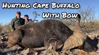 2 CAPE BUFFALO - One Bow, One Rifle