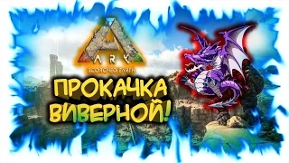 Ark: Scorched Earth! Прокачка виверной!