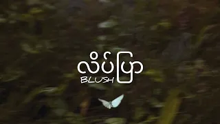 လိပ်ပြာ - BLUSH (Lyrics Video)