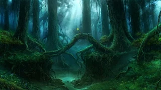 Celtic Music - Wild Woods