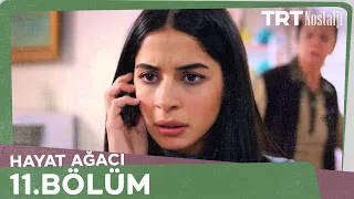 Hayat Ağacı 11.Bölüm