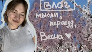 Весенний влог: Тбилиси в цветах, для чего нужны съемки, про аутентичность